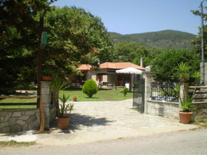 Dodis Village